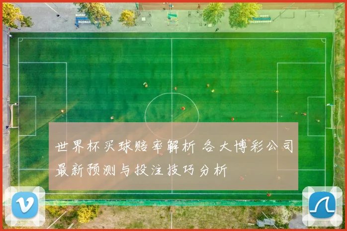 世界杯买球赔率解析 各大博彩公司最新预测与投注技巧分析