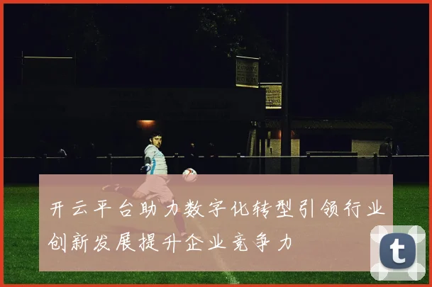 开云平台助力数字化转型引领行业创新发展提升企业竞争力