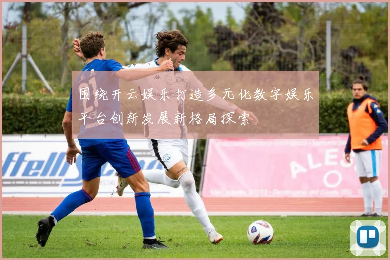 围绕开云娱乐打造多元化数字娱乐平台创新发展新格局探索