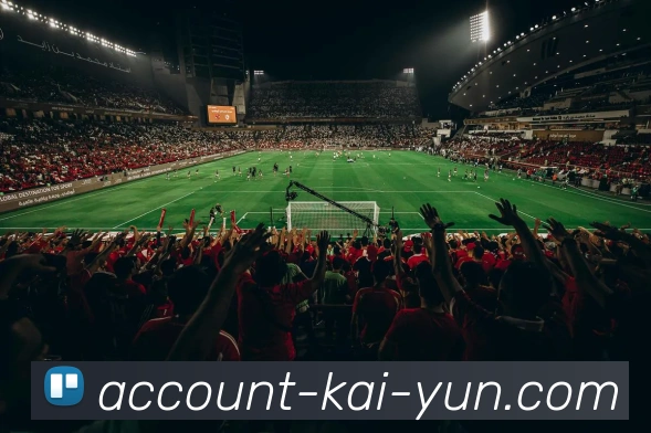 开云平台展示图