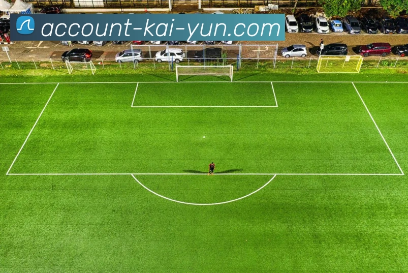 开云官网全站App